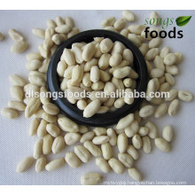 Blanched Peanut Kernels Calories in a Peanut